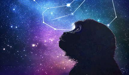 中國科學家聯合發布介觀腦圖譜系列成果實現從嚙齒類到靈長類大腦的跨越